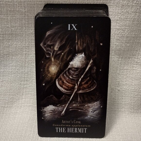 Midnight Magic - Picture 5 of 14